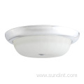 11 Inch Flush Mount Modern Indoor Lighting Fixture